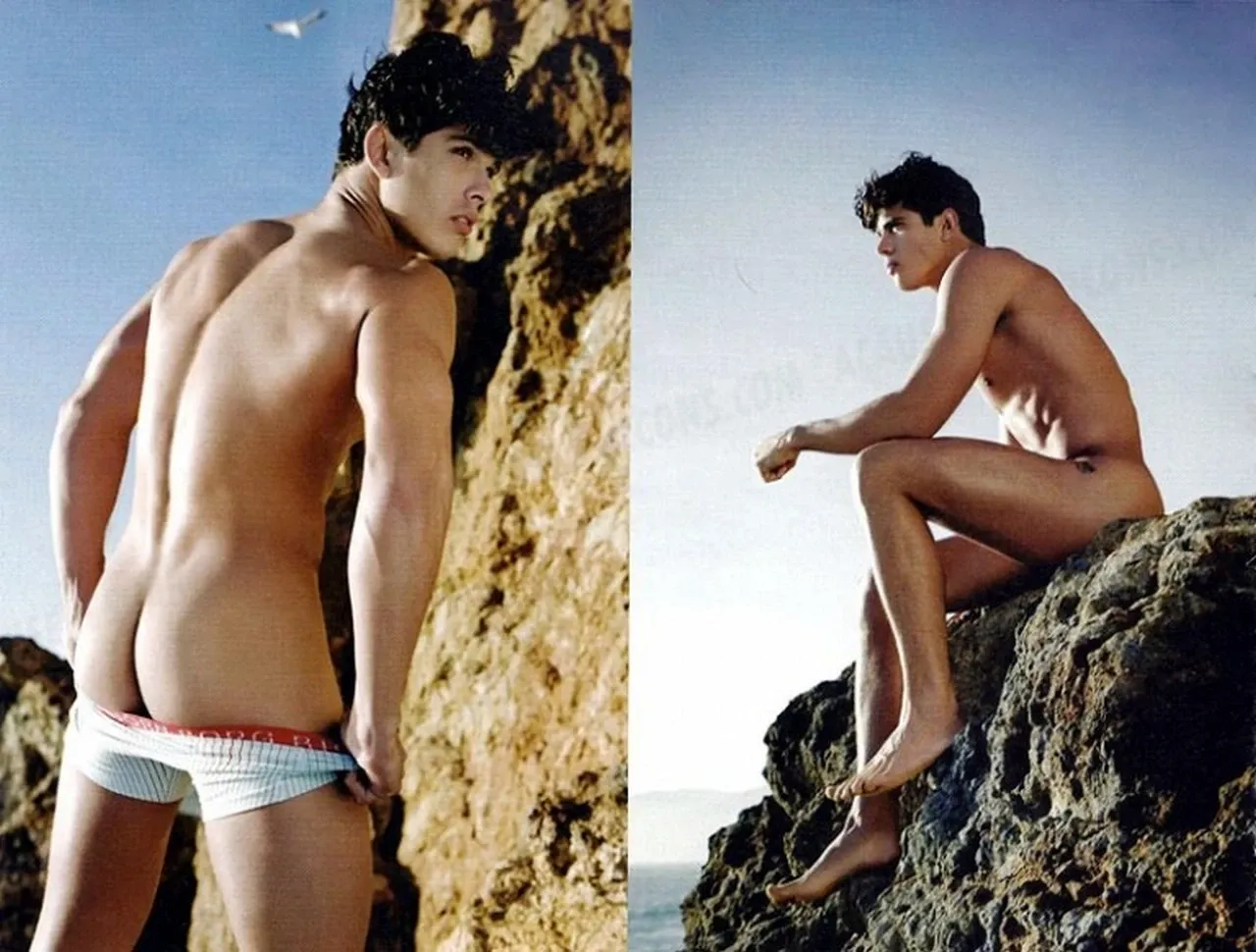 From Tight Trunks to Throbbing Truths How Male Stars Flaunt Their Packages