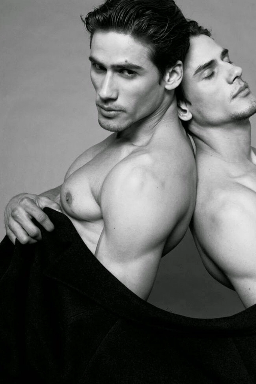 From Tight Trunks to Throbbing Teases: The Best Gay Bulge Videos Ranked