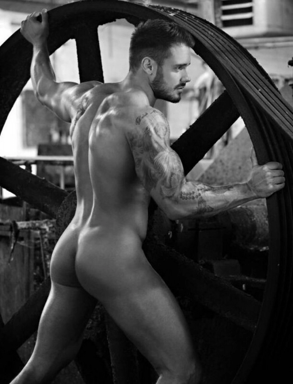 Erotic Allure: The Art of the Bulge in Gay Porn